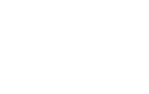 Briarvista Pediatrics Logo